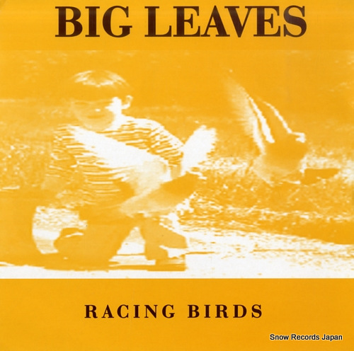 BIG LEAVES racing birds