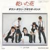 DOWN TOWN BOOGIE WOOGIE BAND - kawaita hana