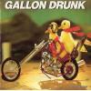 GALLON DRUNK - some fools mess