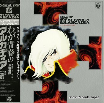 MY YOUTH IN ARCADIA synthesizer fantasy