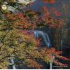 V/A - nippon no kyoshu miryoku no subete