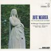 WOLFSBURGER CHORGEMEINSCHAFT - ave maria das wolfsburger konzert