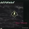 SKYWALK - silent witness