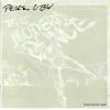PERE UBU - the modern dance