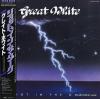 GREAT WHITE - shot in the dark
