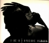 POCH-1667