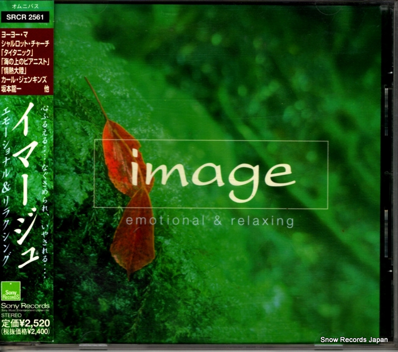 V/A ޡ SRCR2561