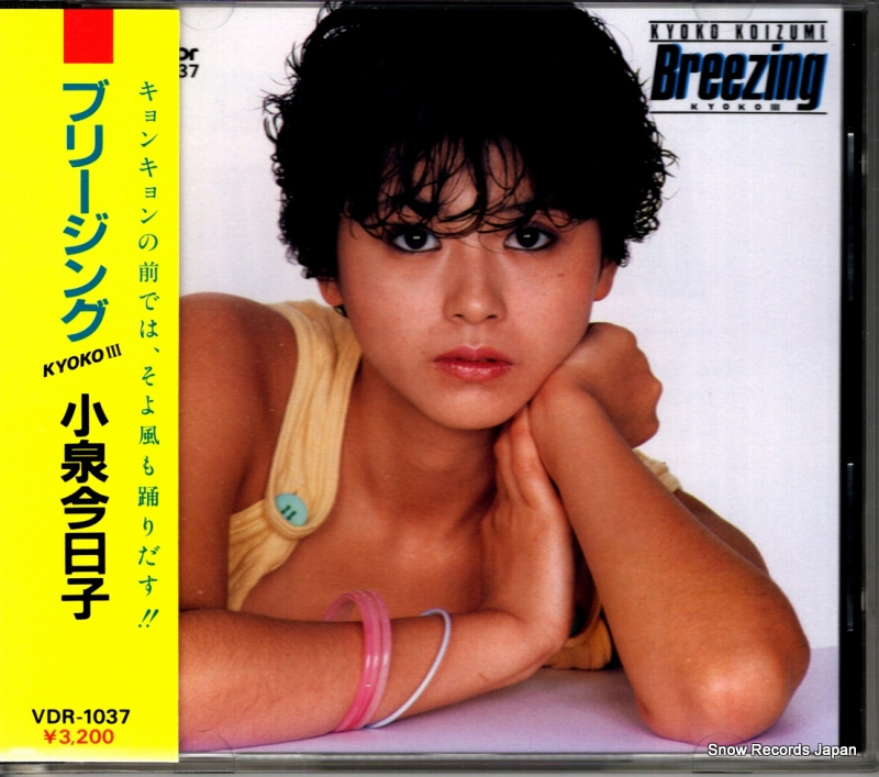 小泉今日子 ブリージング VDR-1037