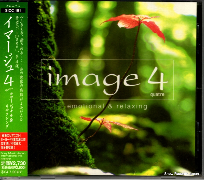 V/A ���ޡ����壴 SICC181