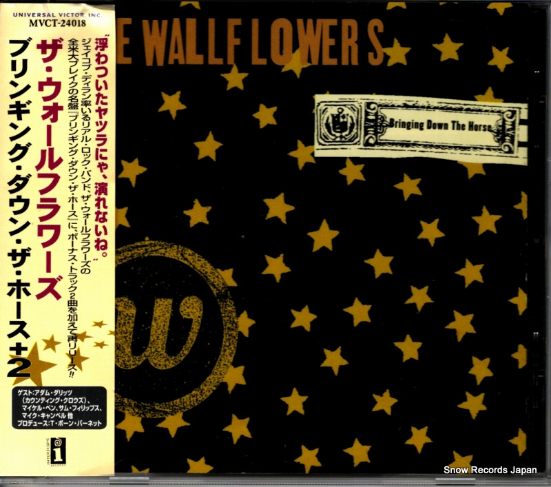 ������������ե��� �֥�󥮥󥰡������󡦥����ۡ��� MVCT-24018