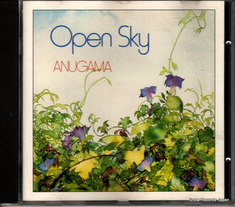���̥��� open sky NGH-CD-309