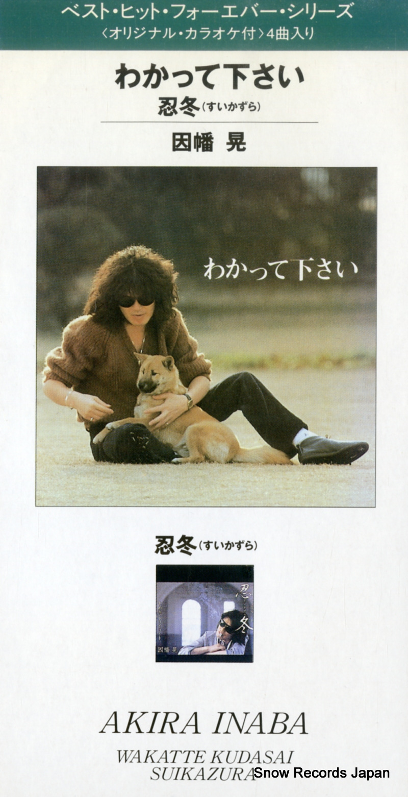 ��Ȩ�� �狼�äƲ����� VPDC-21007