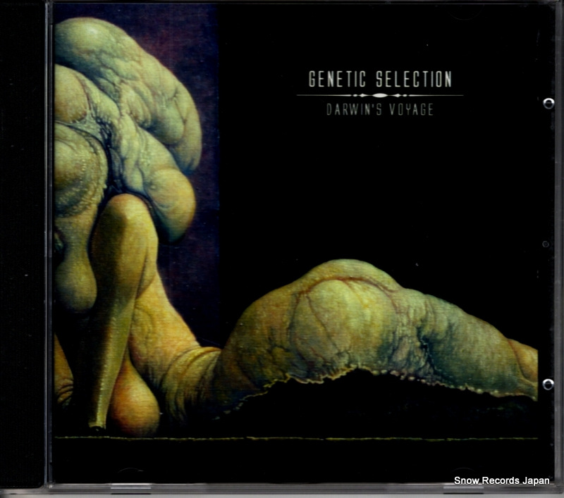 �����ͥƥ��å������쥯����� darwin's voyage ACT185