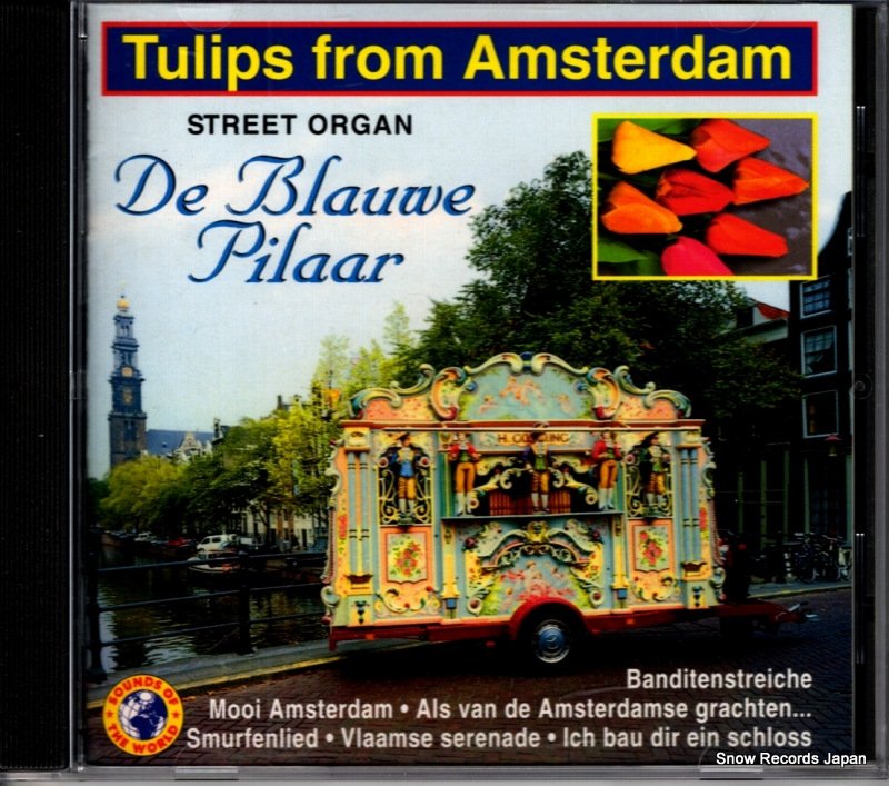 TULIPS FROM AMSTERDAM de blauwe pilaar SOW90136
