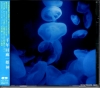 PCCA-01488