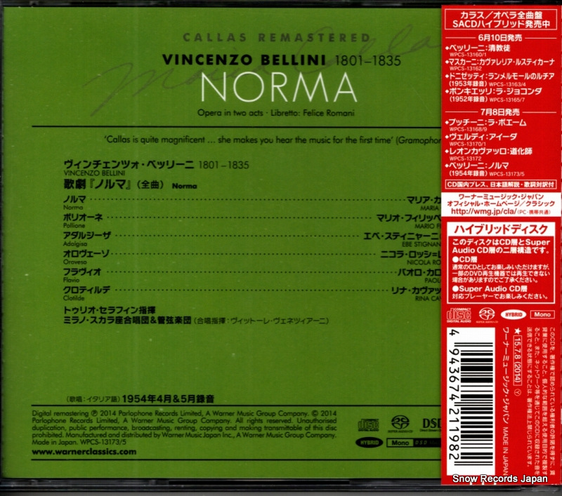 WPCS-13173