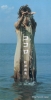 AMDM-6248