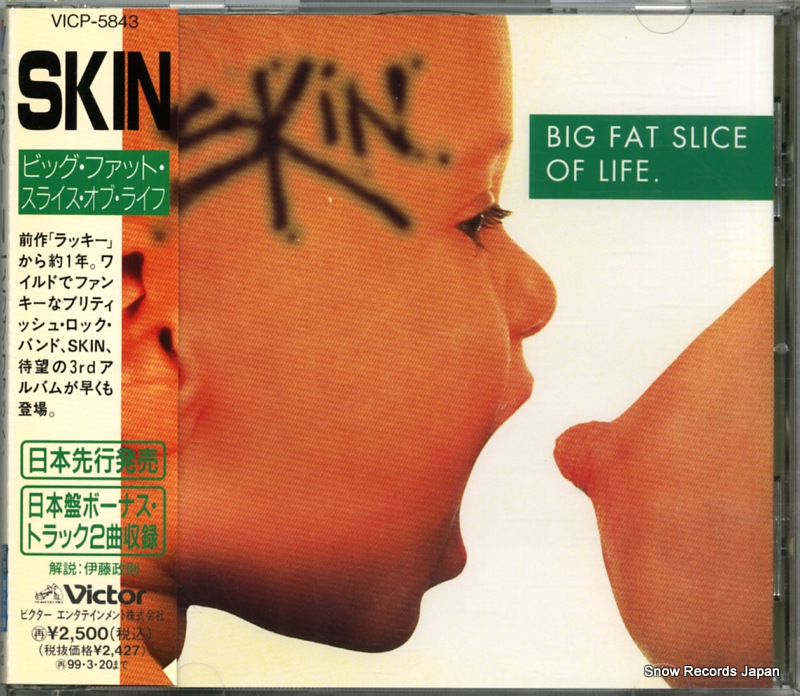 スキン ビッグ・ファット・スライス・オブ・ライフ VICP-5843