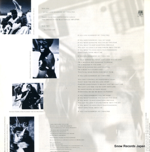 STING if you love somebody set them free AMP-220