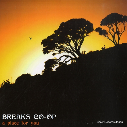 BREAKS CO-OP a place for you R6718 - front cover