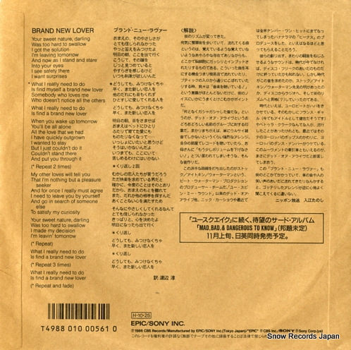 DEAD OR ALIVE brand new lover 04.5P-448