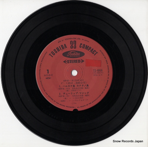 V/A harukana shima kanatano shima TS-4866