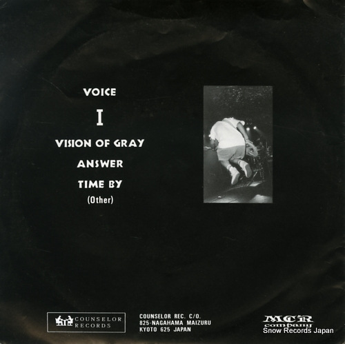 DAVID STORMER voice L-48027 / COUNSELOR-3