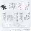 ISOBE, MITSUKI shingen no haha 4RS-1319 - back cover