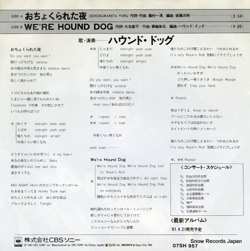 HOUND DOG ochokurarete yoru 07SH957