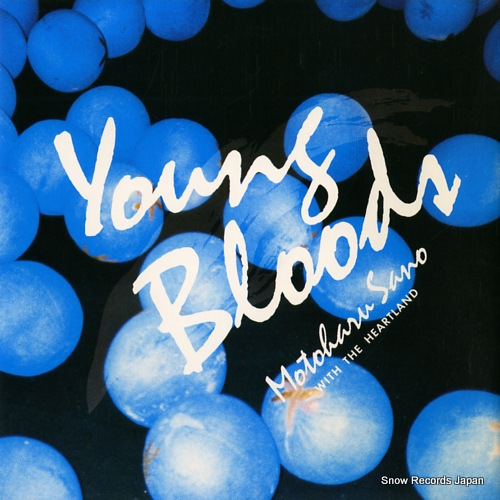 SANO, MOTOHARU young bloods 07.5H-231
