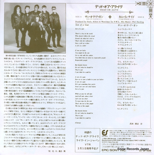 DEAD OR ALIVE sun of a gun 07.5P-499
