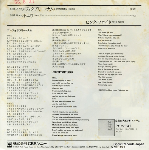 PINK FLOYD comfortably numb 07SP491