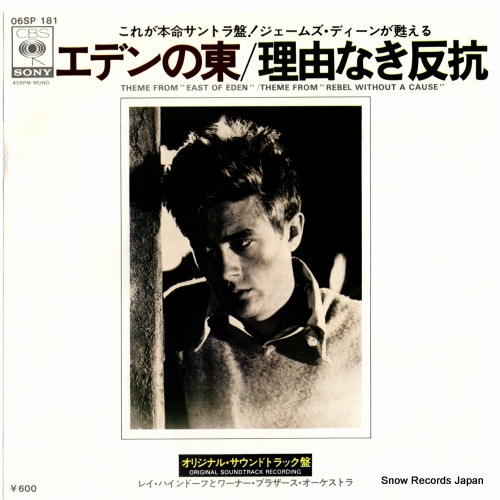 レイ・ハインドーフ エデンの東 06SP181