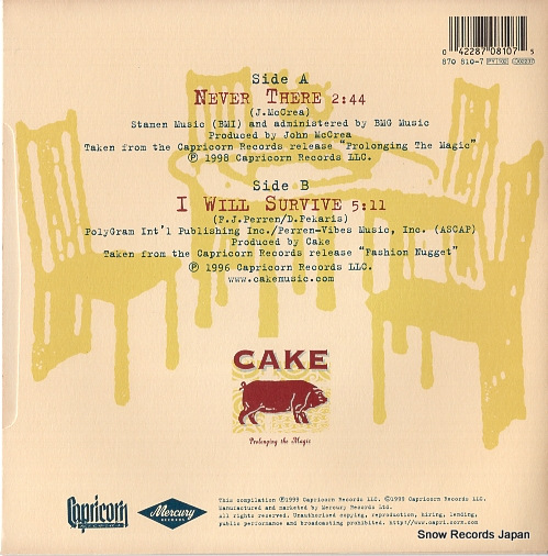 CAKE never there 870810-7