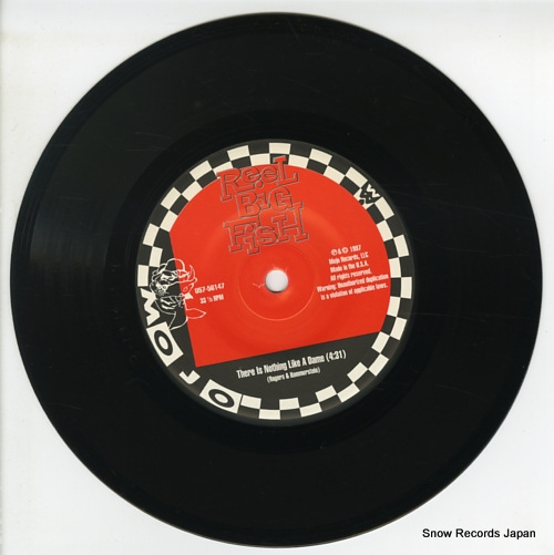 REEL BIG FISH / THE CHERRY POPPIN' DADDIES vacationing in palm springs U57-56147