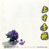ڤҤ 治Ƭ NCP-1003