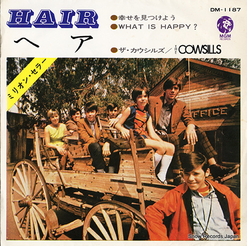 COWSILLS, THE hair DM-1187