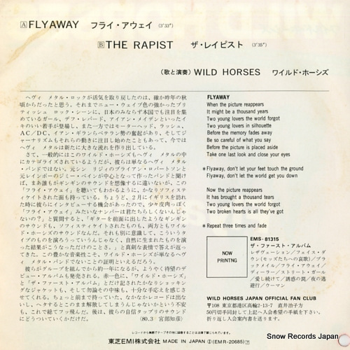 WILD HORSES flyaway EMR-20685