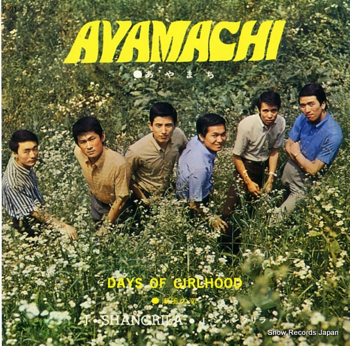 J SHANGRILA ayamachi P-31