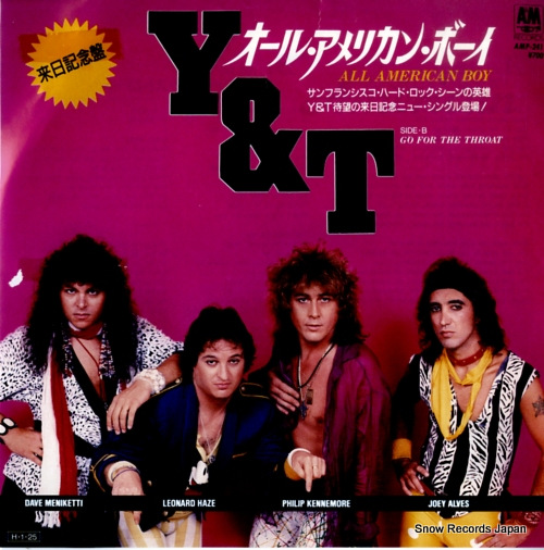 Y & T 롦ꥫ󡦥ܡ AMP-241