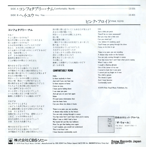 PINK FLOYD comfortably numb 07SP491