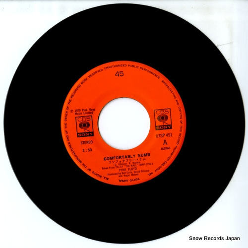 PINK FLOYD comfortably numb 07SP491