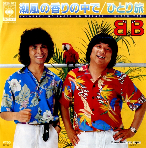 B&B Ĭι 07SH972