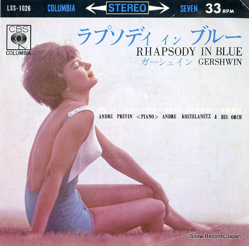 ����ɥ졦�����ƥ�ͥå� ��ץ��ǥ������󡦥֥롼 LSS-1026