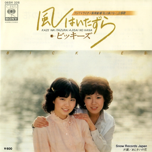 �ӥå����� ���Ϥ������� 06SH326