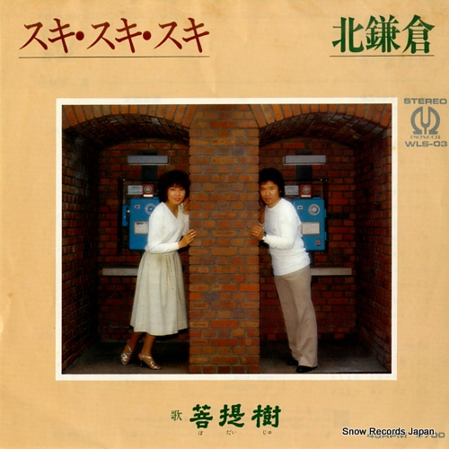 ����� ���������������� WLS-03