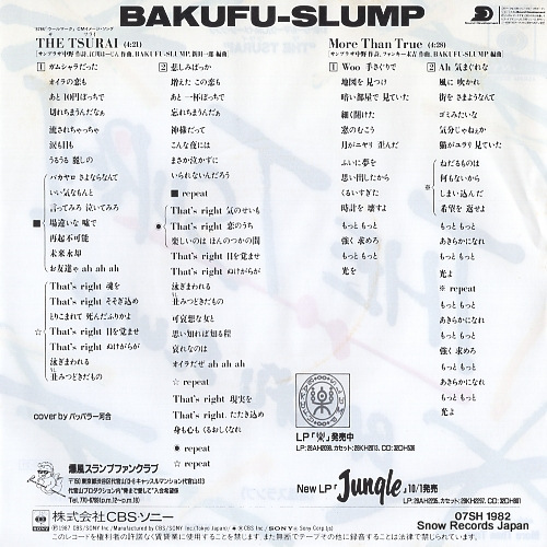 BAKUFU SLUMP the tsurai 07SH1982
