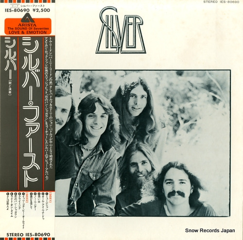 SILVER silver IES-80690