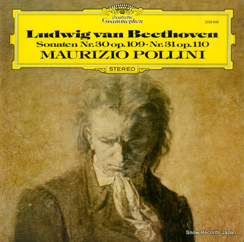 POLLINI, MAURIZIO beethoven; sonaten nr.30 & 31 2530645