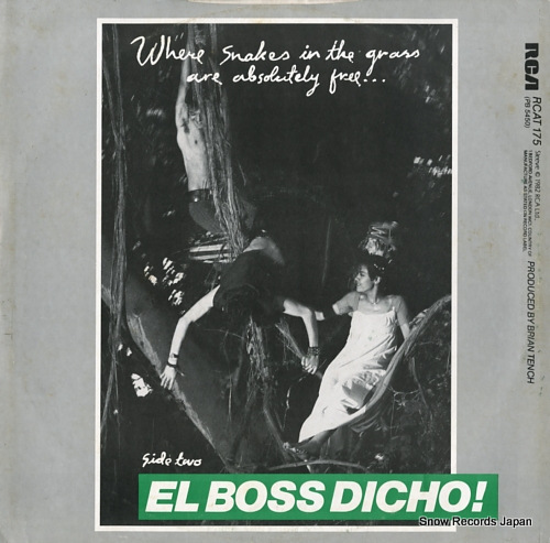 BOW WOW WOW go wild in the country RCAT175